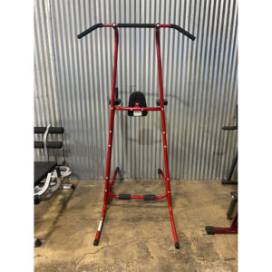 Stamina Vertical Knee Raise Power Tower